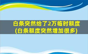 白条突然给了2万临时额度(白条额度突然增加很多)