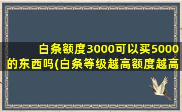 白条额度3000可以买5000的东西吗(白条等级越高额度越高吗)