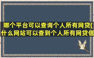 哪个平台可以查询个人所有网贷(什么网站可以查到个人所有网贷信息)