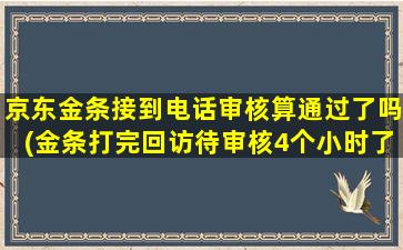 京东金条接到电话审核算通过了吗(金条打完回访待审核4个小时了)