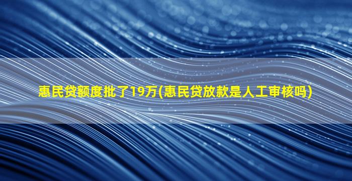 惠民贷额度批了19万(惠民贷放款是人工审核吗)