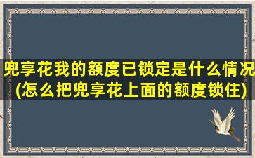 兜享花我的额度已锁定是什么情况(怎么把兜享花上面的额度锁住)