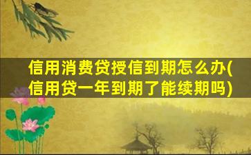 信用消费贷授信到期怎么办(信用贷一年到期了能续期吗)