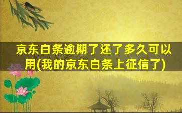 京东白条逾期了还了多久可以用(我的京东白条上征信了)