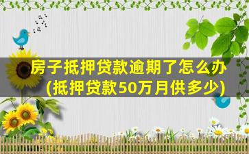 房子抵押贷款逾期了怎么办(抵押贷款50万月供多少)