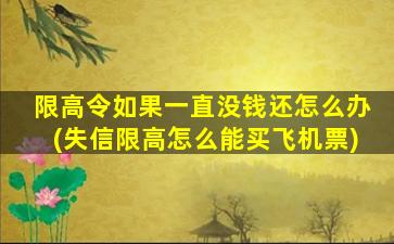 限高令如果一直没钱还怎么办(失信限高怎么能买飞机票)