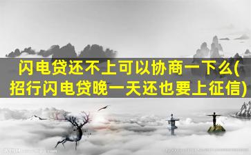 闪电贷还不上可以协商一下么(招行闪电贷晚一天还也要上征信)