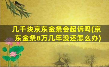 几千块京东金条会起诉吗(京东金条8万几年没还怎么办)