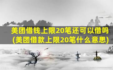 美团借钱上限20笔还可以借吗(美团借款上限20笔什么意思)