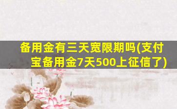 备用金有三天宽限期吗(支付宝备用金7天500上征信了)