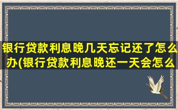 银行贷款利息晚几天忘记还了怎么办(银行贷款利息晚还一天会怎么样)