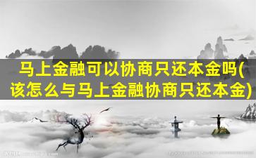 马上金融可以协商只还本金吗(该怎么与马上金融协商只还本金)