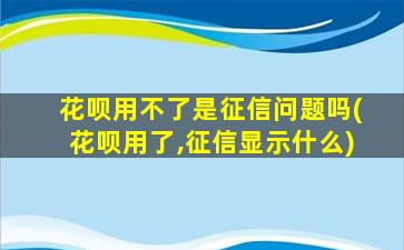 花呗用不了是征信问题吗(花呗用了,征信显示什么)