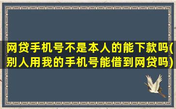 网贷手机号不是本人的能下款吗(别人用我的手机号能借到网贷吗)