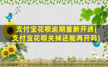 支付宝花呗逾期重新开通(支付宝花呗关掉还能再开吗)