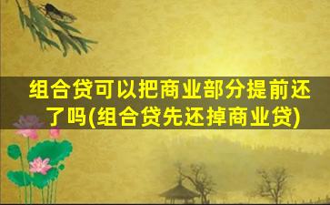 组合贷可以把商业部分提前还了吗(组合贷先还掉商业贷)