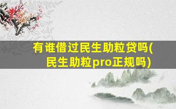 有谁借过民生助粒贷吗(民生助粒pro正规吗)