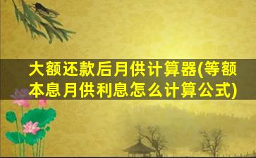 大额还款后月供计算器(等额本息月供利息怎么计算公式)