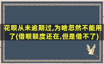 花呗从未逾期过,为啥忽然不能用了(借呗额度还在,但是借不了)