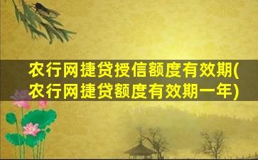 农行网捷贷授信额度有效期(农行网捷贷额度有效期一年)