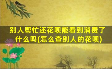 别人帮忙还花呗能看到消费了什么吗(怎么查别人的花呗)