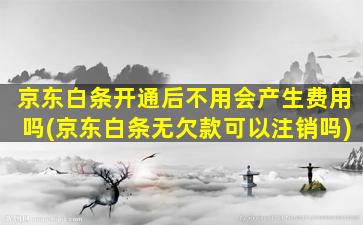 京东白条开通后不用会产生费用吗(京东白条无欠款可以注销吗)