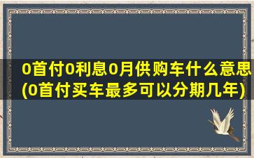 0首付0利息0月供购车什么意思(0首付买车最多可以分期几年)