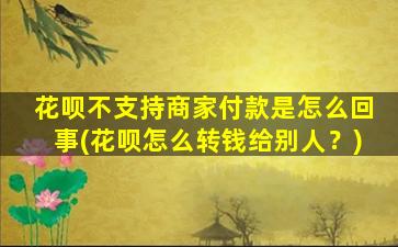 花呗不支持商家付款是怎么回事(花呗怎么转钱给别人？)