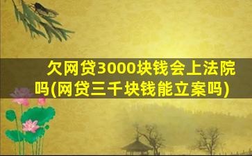 欠网贷3000块钱会上法院吗(网贷三千块钱能立案吗)