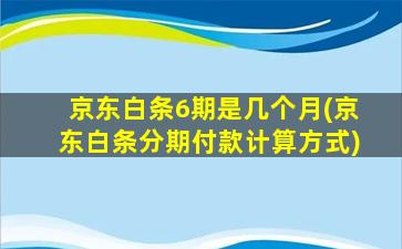 京东白条6期是几个月(京东白条分期付款计算方式)