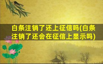 白条注销了还上征信吗(白条注销了还会在征信上显示吗)