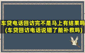 车贷电话回访完不是马上有结果吗(车贷回访电话说错了能补救吗)