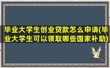 毕业大学生创业贷款怎么申请(毕业大学生可以领取哪些国家补助)