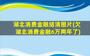 湖北消费金融结清图片(欠湖北消费金融6万两年了)