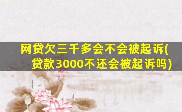 网贷欠三千多会不会被起诉(贷款3000不还会被起诉吗)