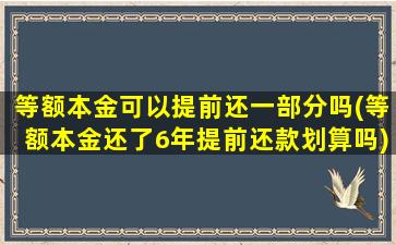 等额本金可以提前还一部分吗(等额本金还了6年提前还款划算吗)