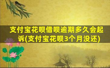 支付宝花呗借呗逾期多久会起诉(支付宝花呗3个月没还)