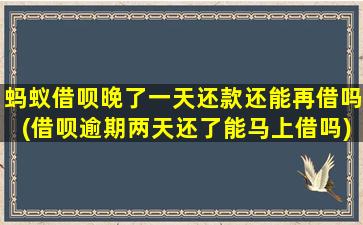 蚂蚁借呗晚了一天还款还能再借吗(借呗逾期两天还了能马上借吗)