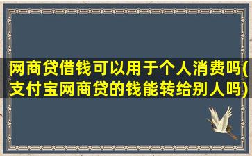 网商贷借钱可以用于个人消费吗(支付宝网商贷的钱能转给别人吗)