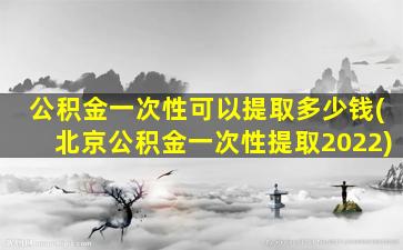 公积金一次性可以提取多少钱(北京公积金一次性提取2022)