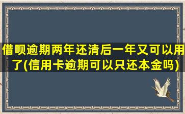 借呗逾期两年还清后一年又可以用了(信用卡逾期可以只还本金吗)