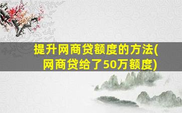 提升网商贷额度的方法(网商贷给了50万额度)