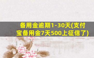 备用金逾期1-30天(支付宝备用金7天500上征信了)