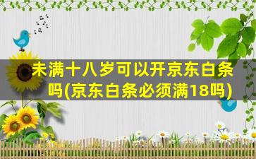 未满十八岁可以开京东白条吗(京东白条必须满18吗)