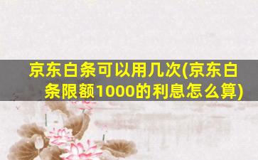 京东白条可以用几次(京东白条限额1000的利息怎么算)