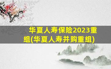 华夏人寿保险2023重组(华夏人寿并购重组)