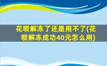 花呗解冻了还是用不了(花呗解冻成功40元怎么用)