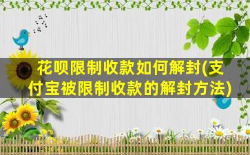 花呗限制收款如何解封(支付宝被限制收款的解封方法)