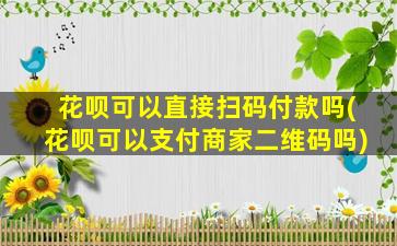 花呗可以直接扫码付款吗(花呗可以支付商家二维码吗)