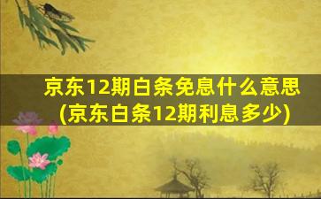 京东12期白条免息什么意思(京东白条12期利息多少)